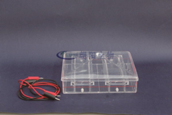 RDY-CS1 Acetate film electrophoresis apparatus