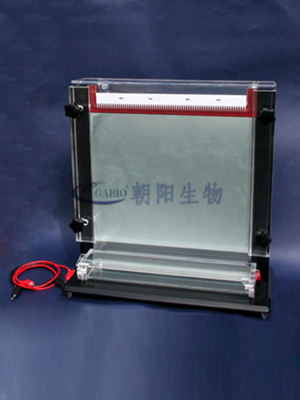 Single board sequencing electrophoresis instrument 【RDY-CX2】