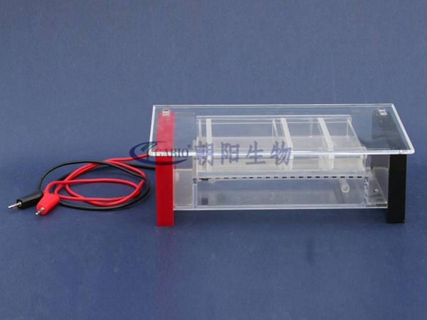  Protein recovery electrophoresis apparatus【RDY-HS1】