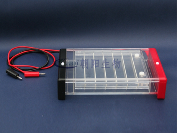 Rapid gel electrophoresis apparatusRDY-KS2