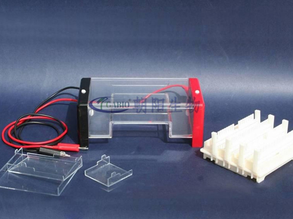  Agarose level electrophoresis apparatus【RDY-SP1】