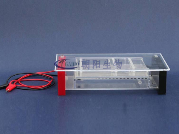  Agarose level electrophoresis apparatus【RDY-SP6】