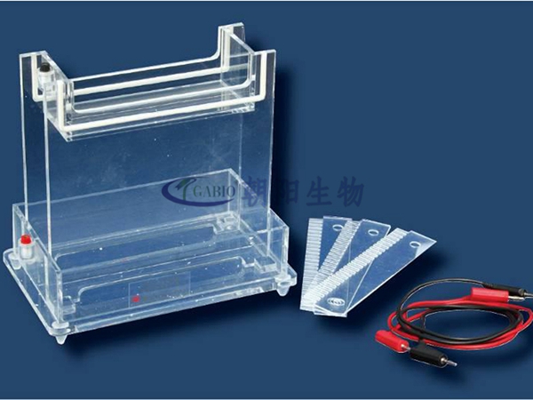 Double-plate vertical electrometer【RDY-CZ4】