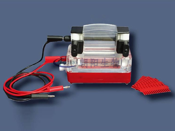 Dual adhesive mini vertical electroscope【RDY-CZ2】